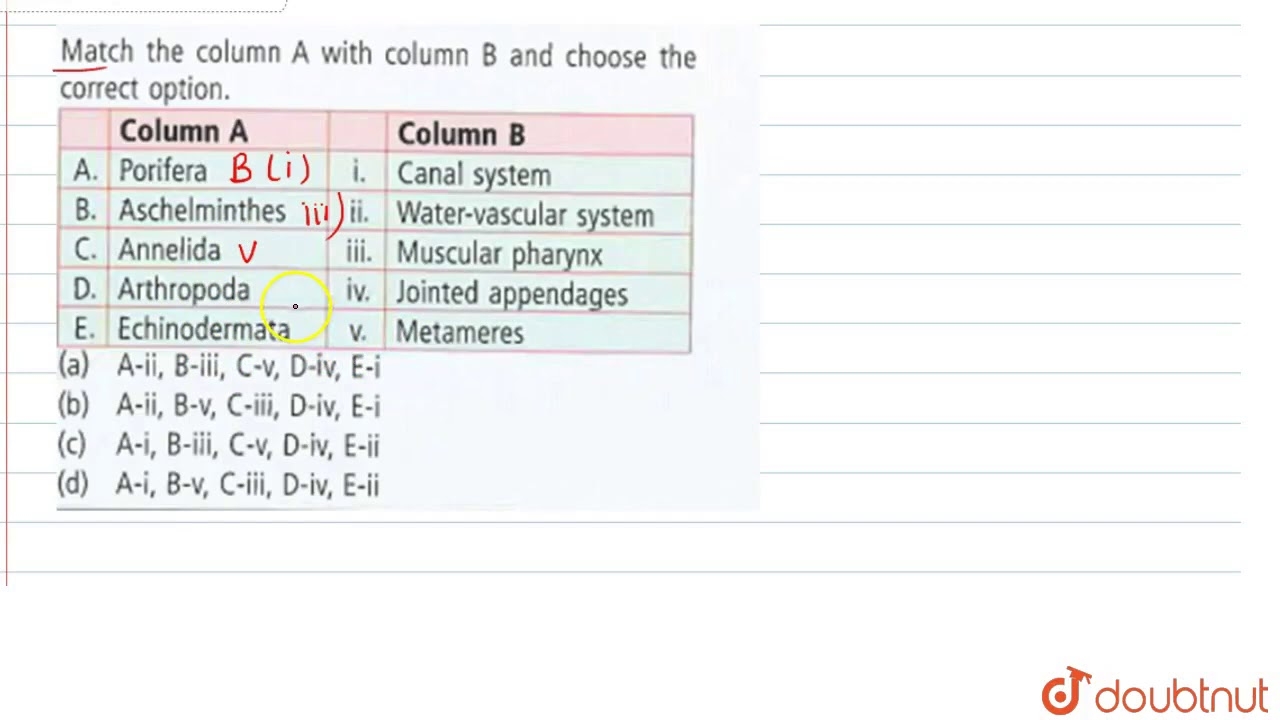Match Of Column A With Column B And Choose The Correct Option Column A Column B YouTube Match Of Column A With Column B And Choose The Correct Option Column A Column B YouTube