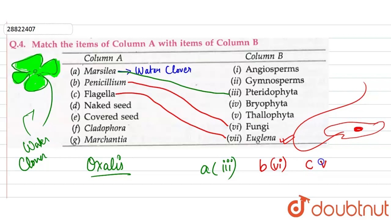Match The Items Of Column A With Items Of Column B YouTube Match The Items Of Column A With Items Of Column B YouTube