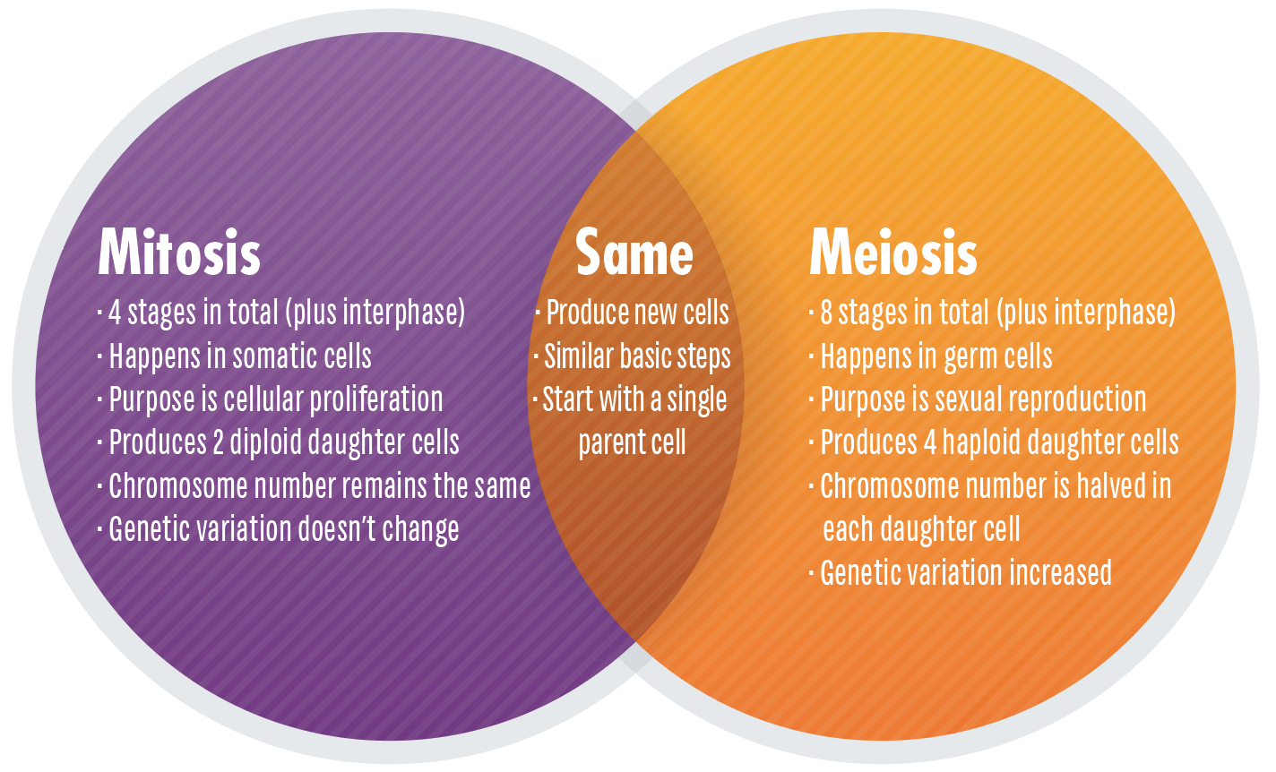 Mitosis Vs Meiosis Key Differences Chart And Venn Diagram Technology Networks Mitosis Vs Meiosis Key Differences Chart And Venn Diagram Technology Networks