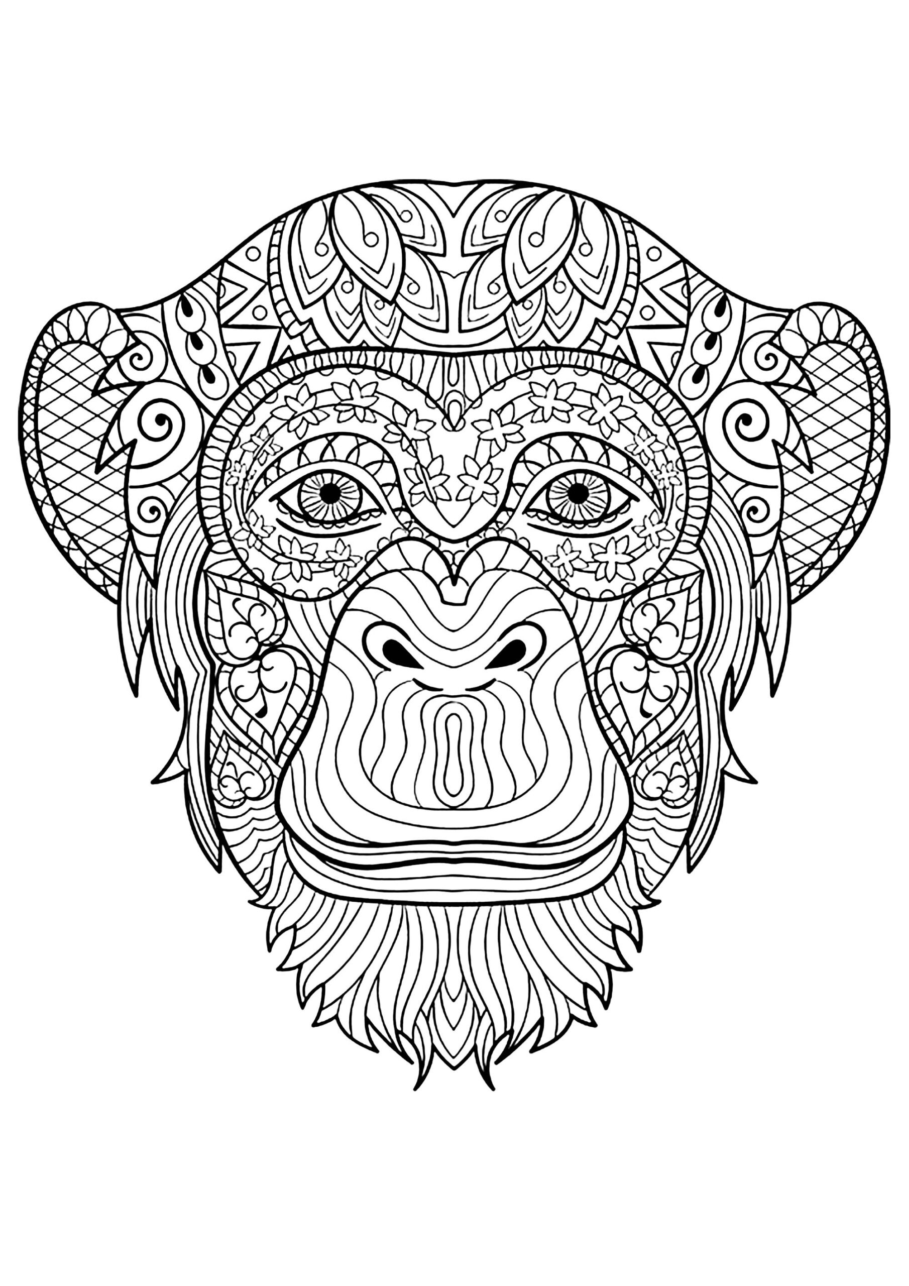 coloring pages of monkeys