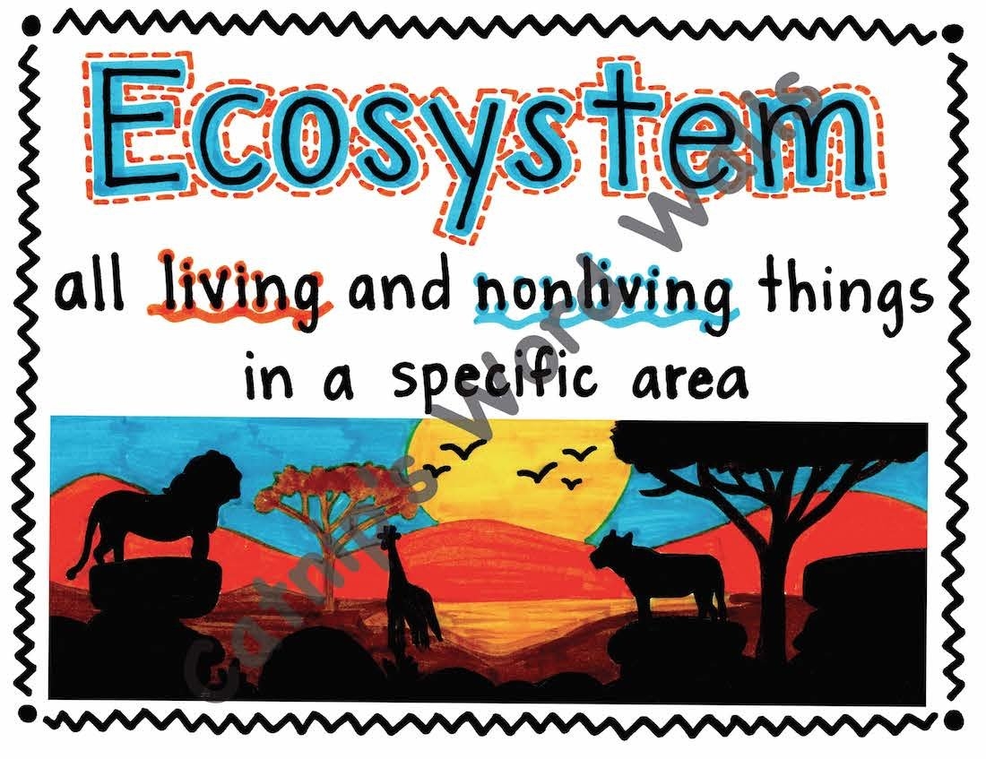 6th grade science teks