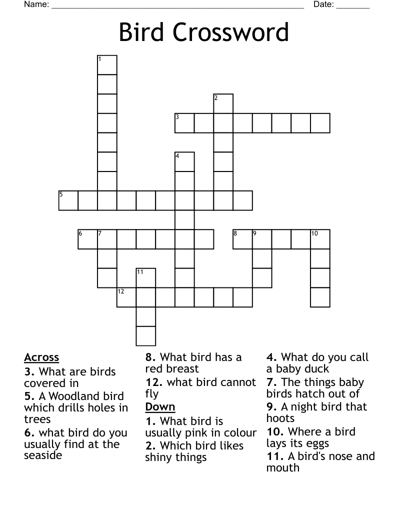 New Zealand Birds Crossword WordMint