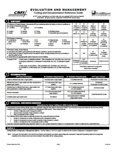 Official Trailblazer E M Audit Tool PDF Medical Coding Medical 