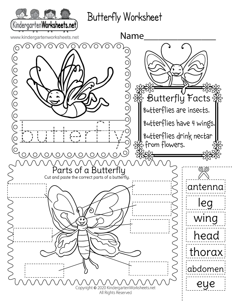 Parts Of A Butterfly Worksheet Free Printable Digital PDF Parts Of A Butterfly Worksheet Free Printable Digital PDF