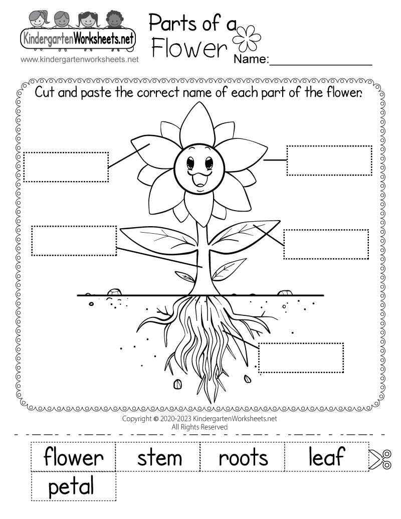 Parts Of A Flower Worksheet Free Printable Digital PDF Parts Of A Flower Worksheet Free Printable Digital PDF