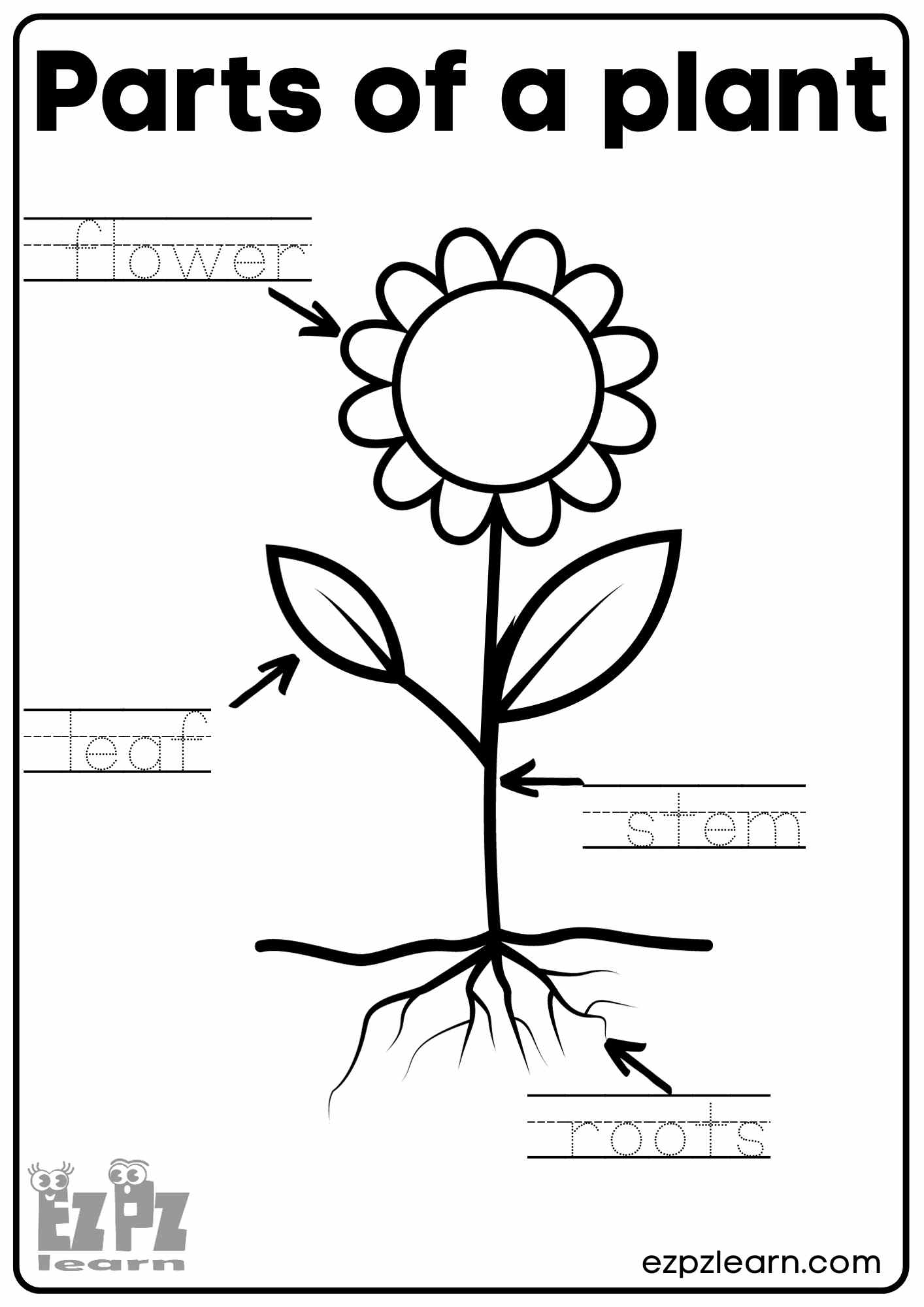 parts of a flower worksheet