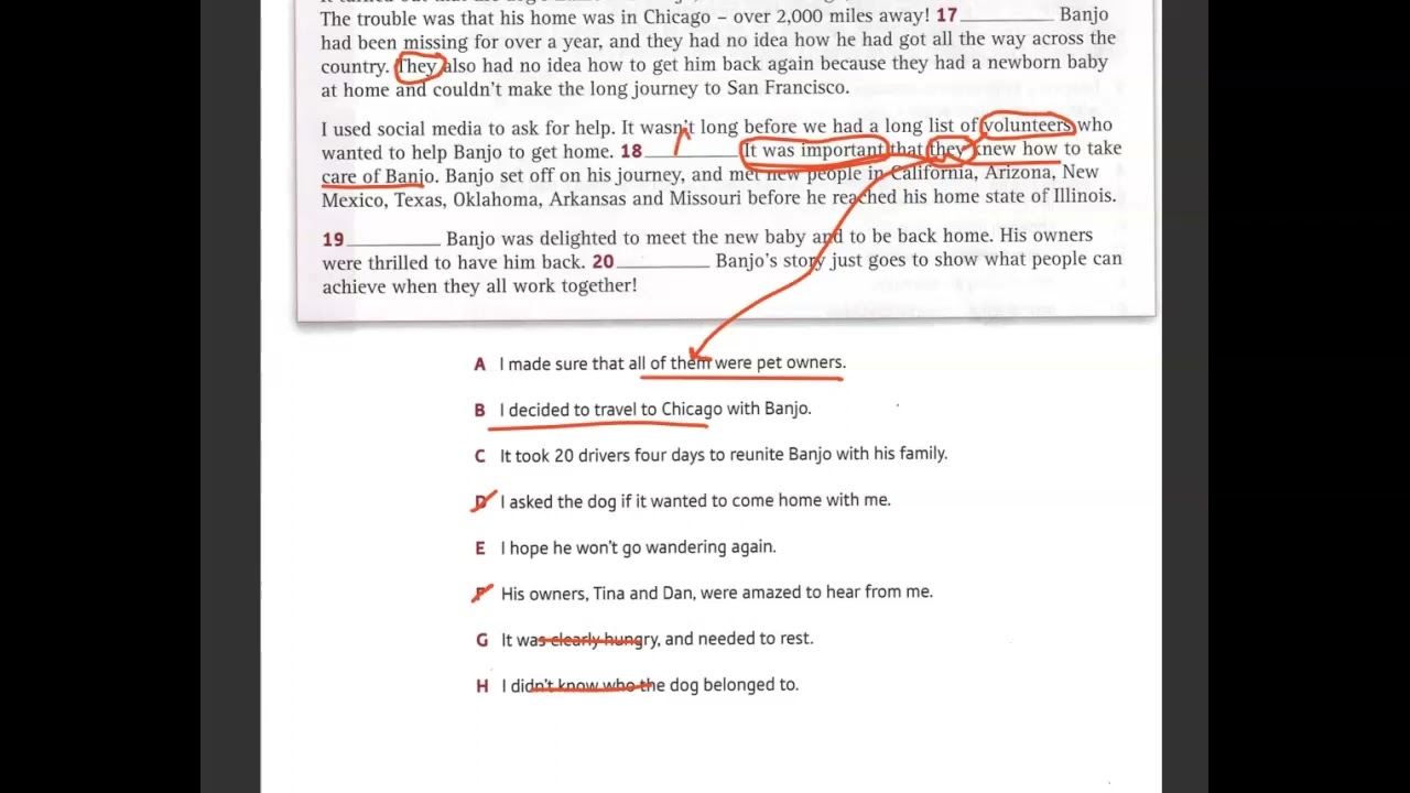 PET Reading Part 4 YouTube