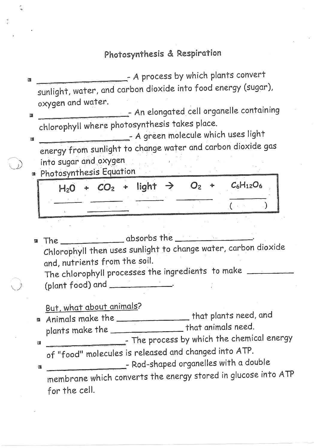 photosynthesis & cellular respiration worksheet