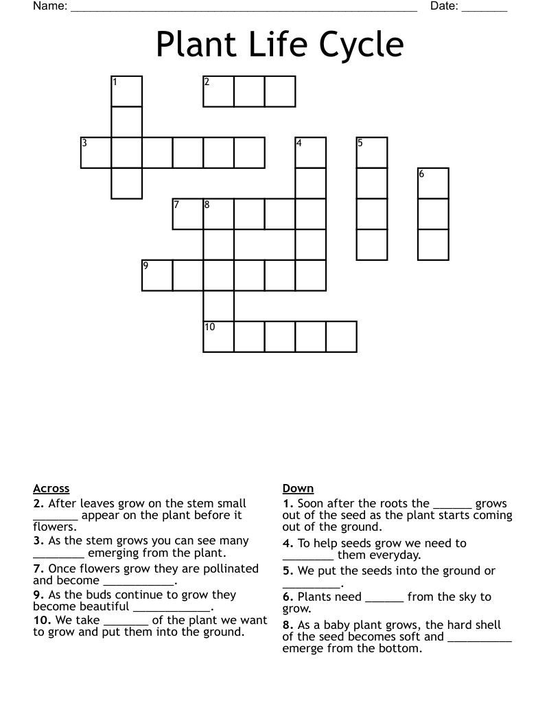 Plant Life Cycle Crossword WordMint