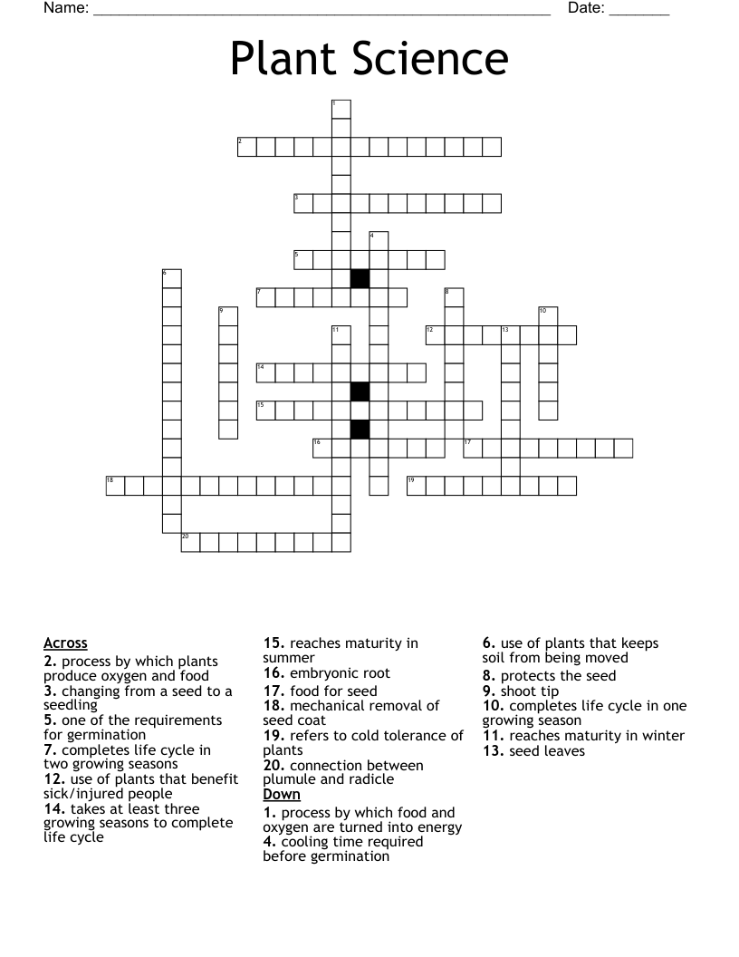 science crossword science crossword