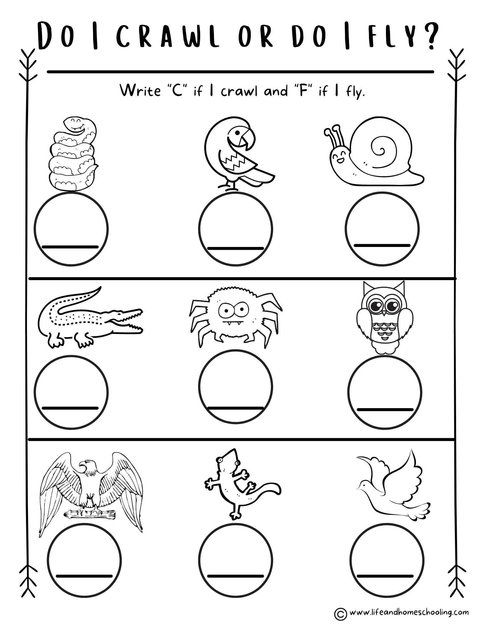 Preschool Kindergarten Animal Worksheets Made By Teachers