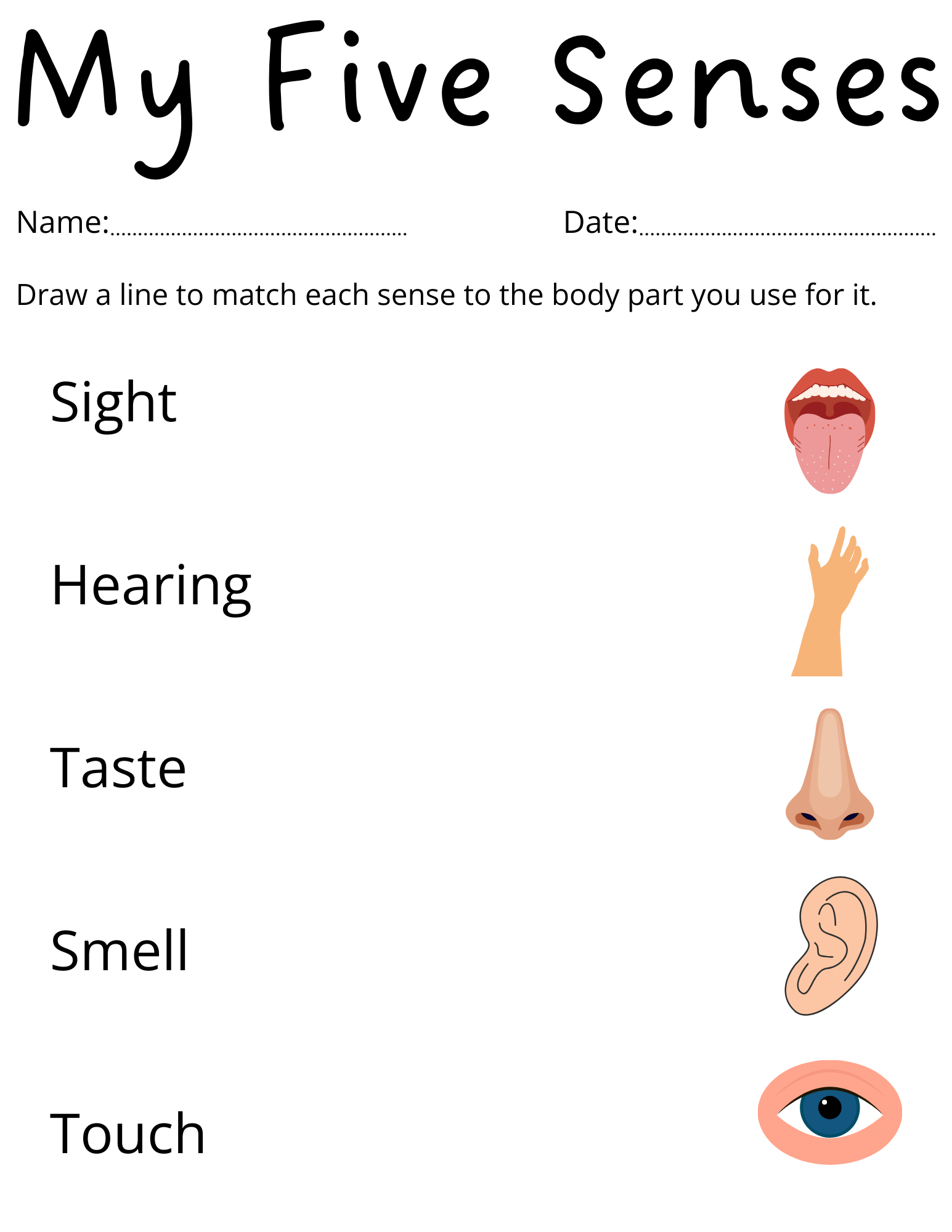 five senses worksheet preschool