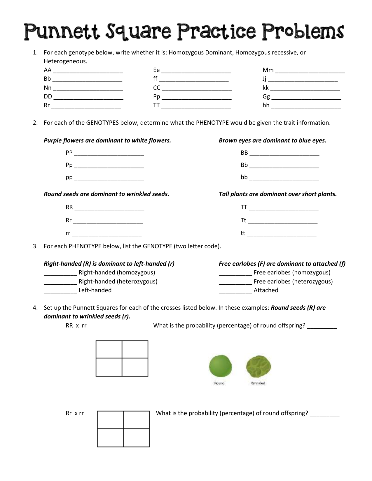 Punnett Square Practice Genetics Worksheet Punnett Square Practice Genetics Worksheet