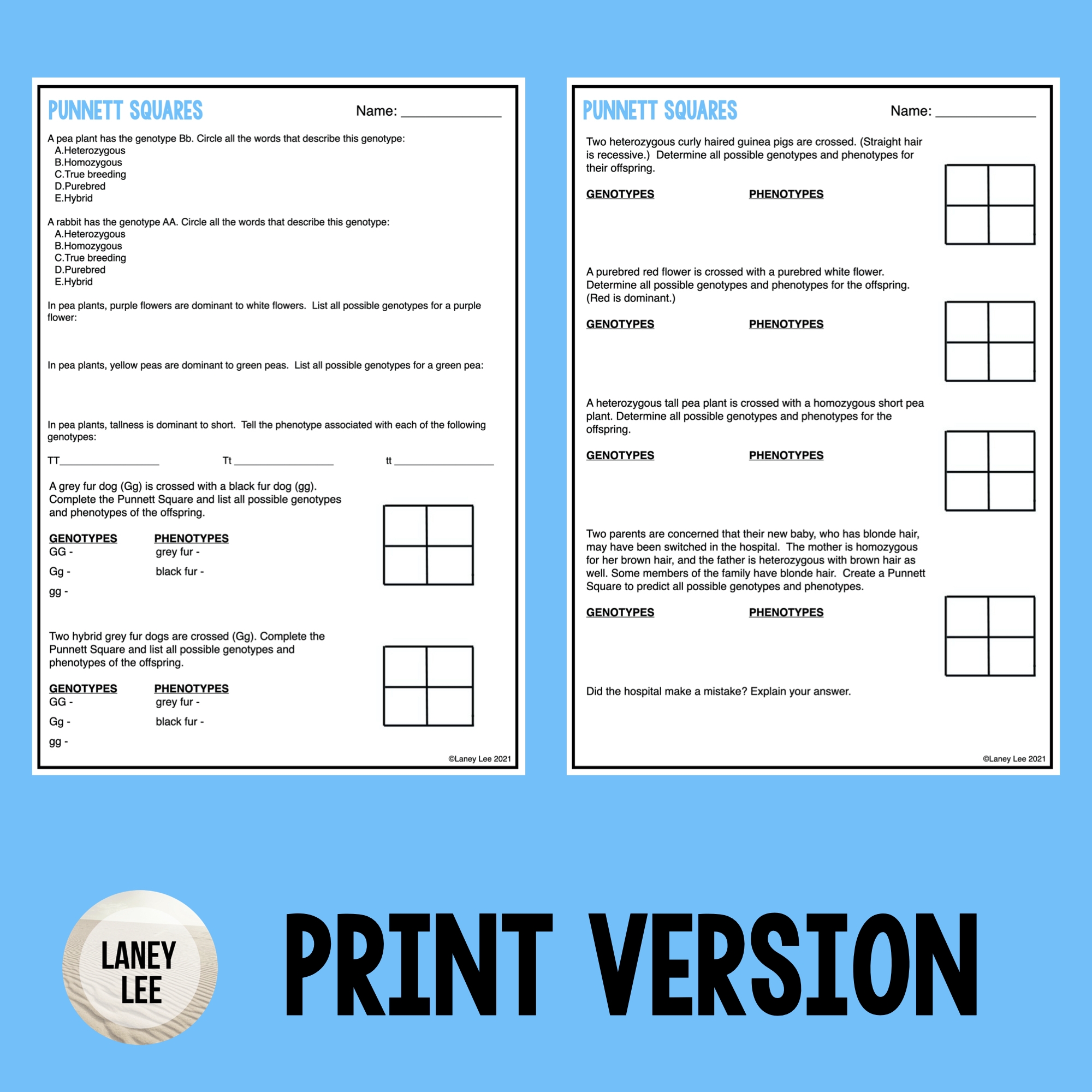 punnett square worksheet practice punnett square worksheet practice