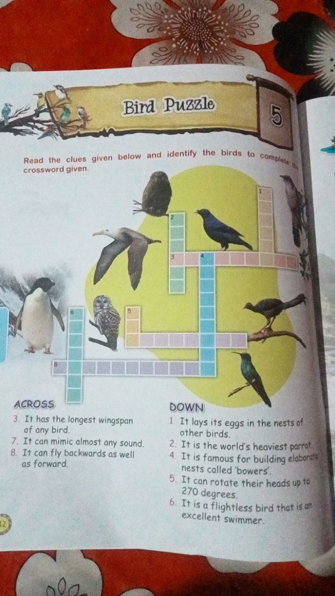 Read The Clues Given Below And Identify The Birds To Complete The Crosswo 