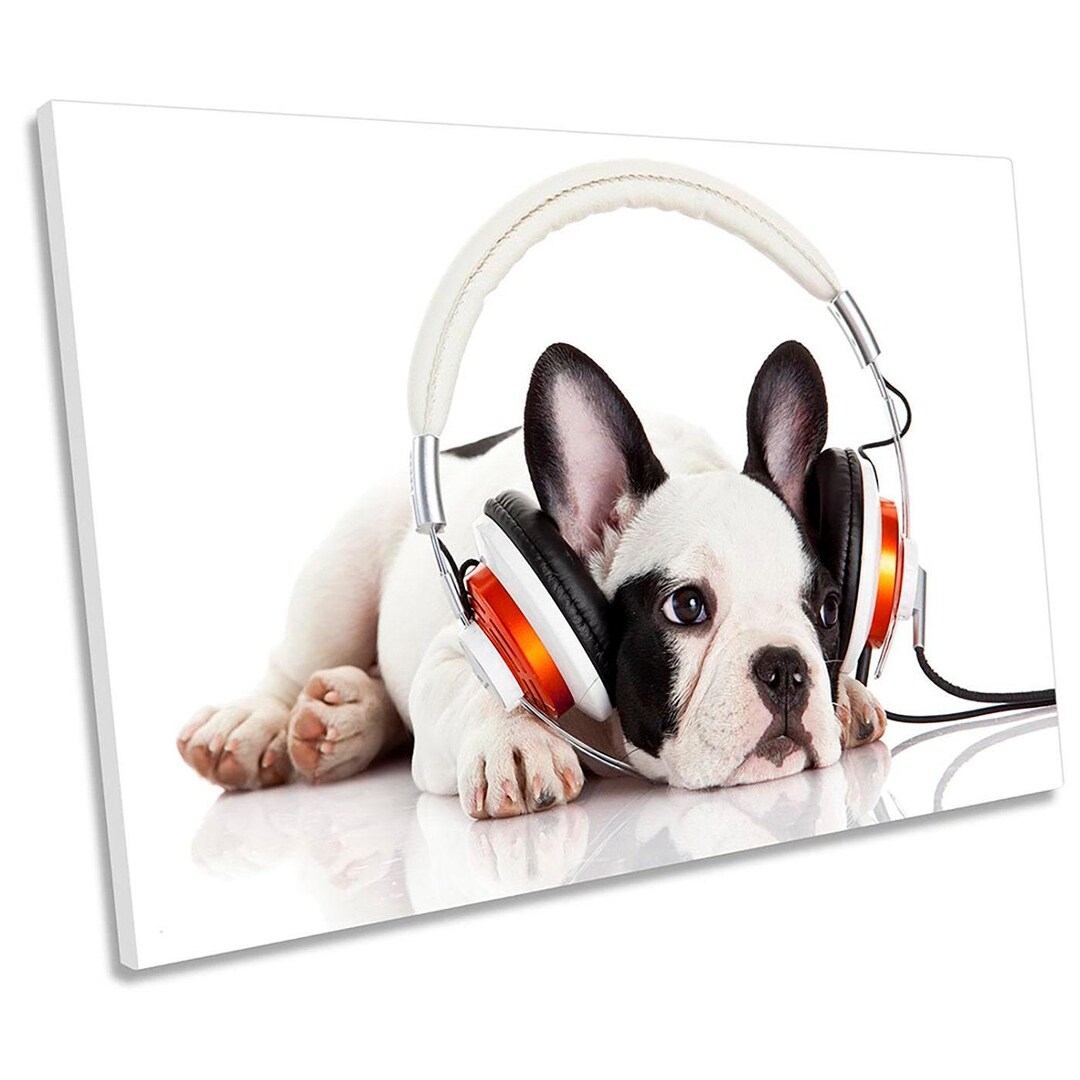 Record Company Crossword Clue Well dressed Animal 30 French Bulldog By Matthias Hauser Wall Art Hip Hop Record Company