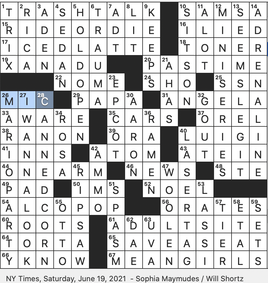 more than enough crossword clue
