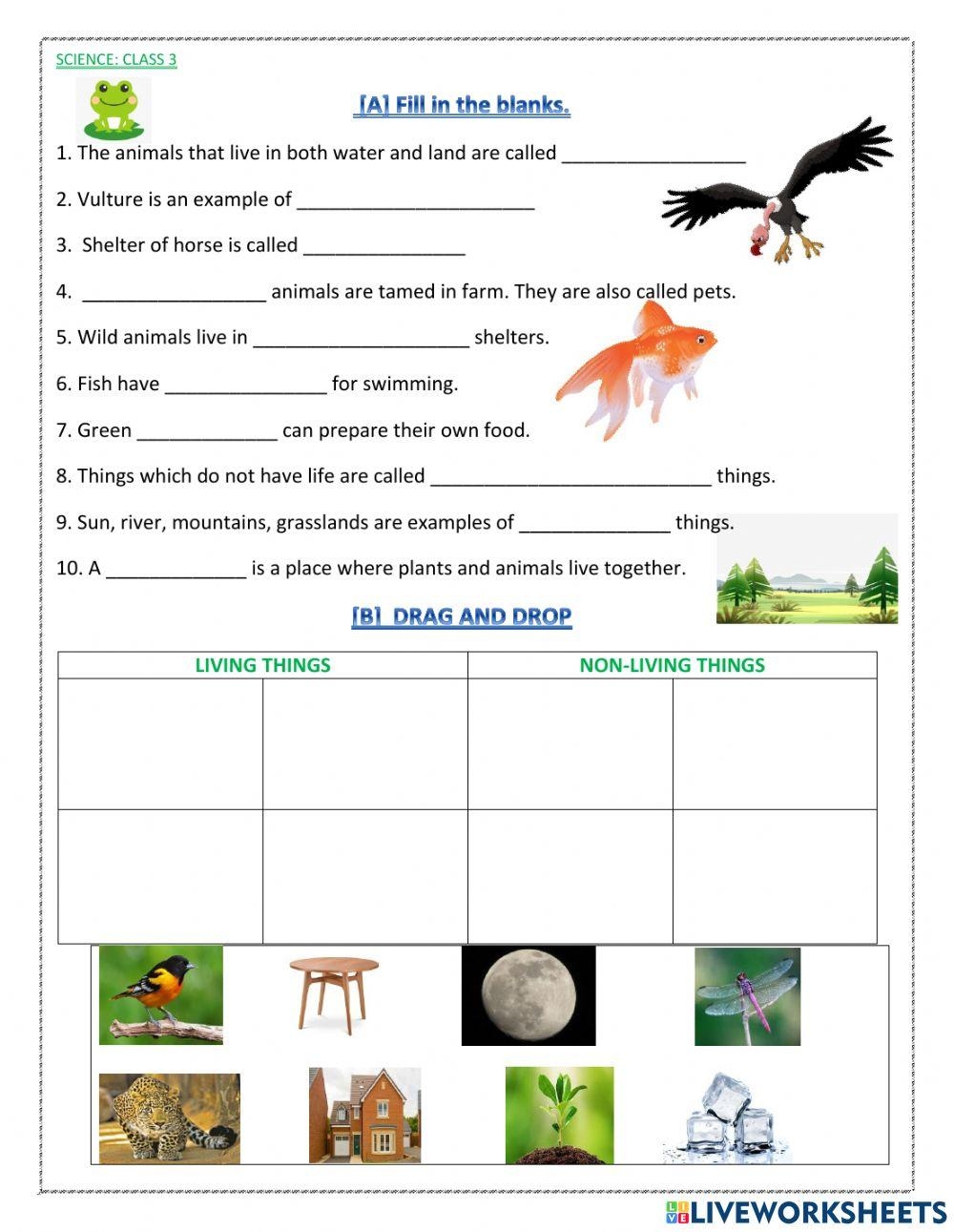 Science Class 3 1st W s Worksheet Worksheets Library