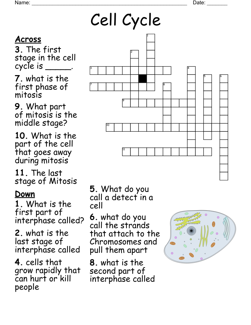 Shock Crossword WordMint