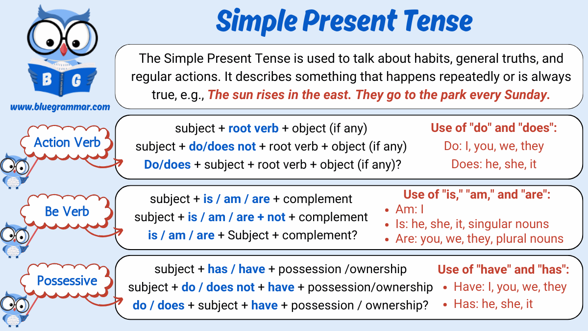 Simple Present Tense Action Verbs Be Verbs Possessive Forms Blue Grammar Simple Present Tense Action Verbs Be Verbs Possessive Forms Blue Grammar