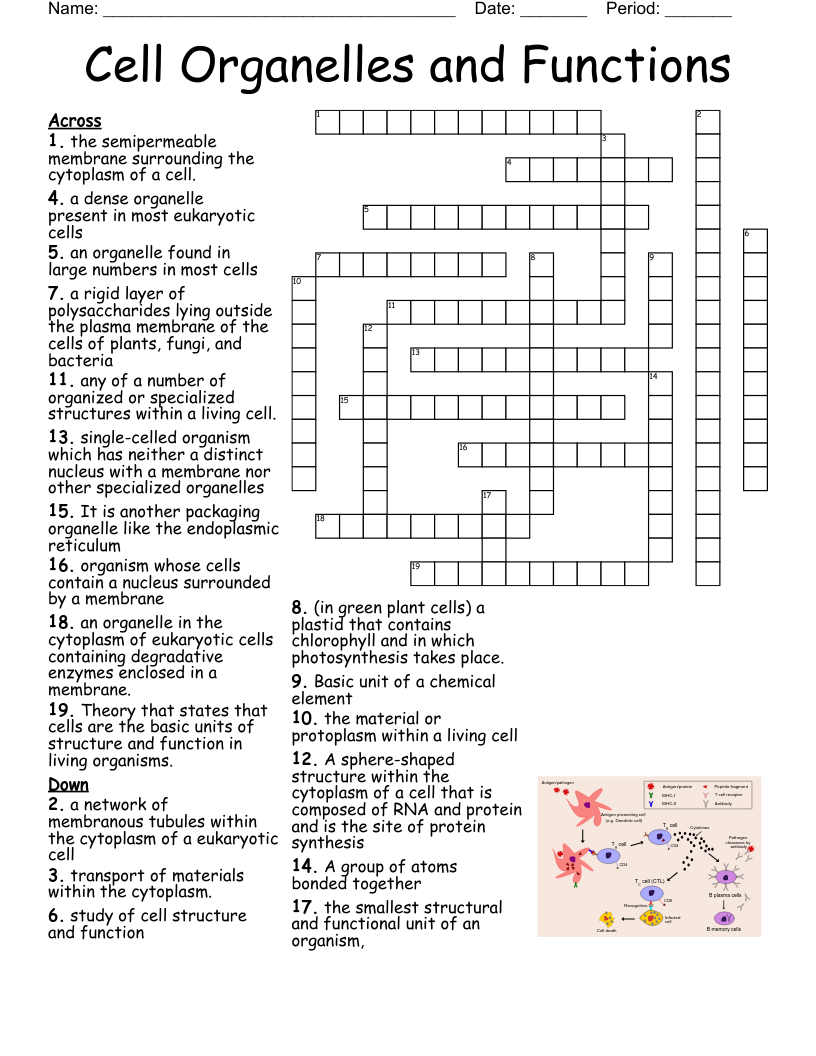 group of six crossword
