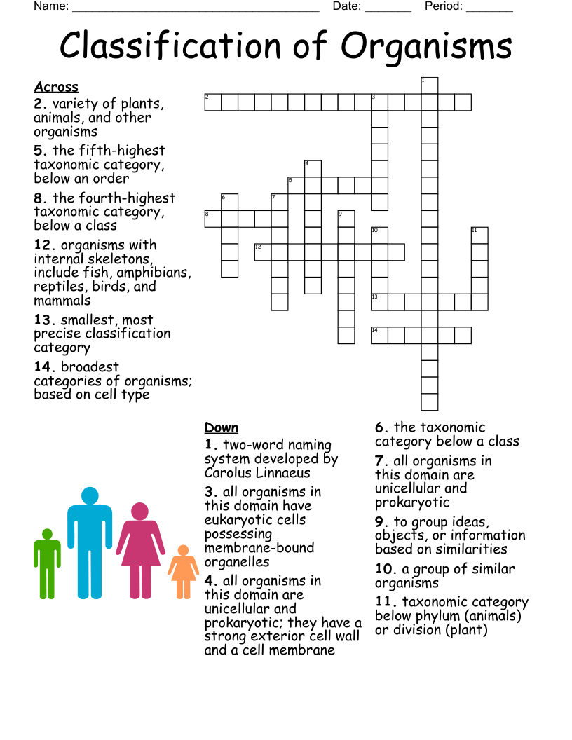 Six Kingdom Classification Crossword WordMint