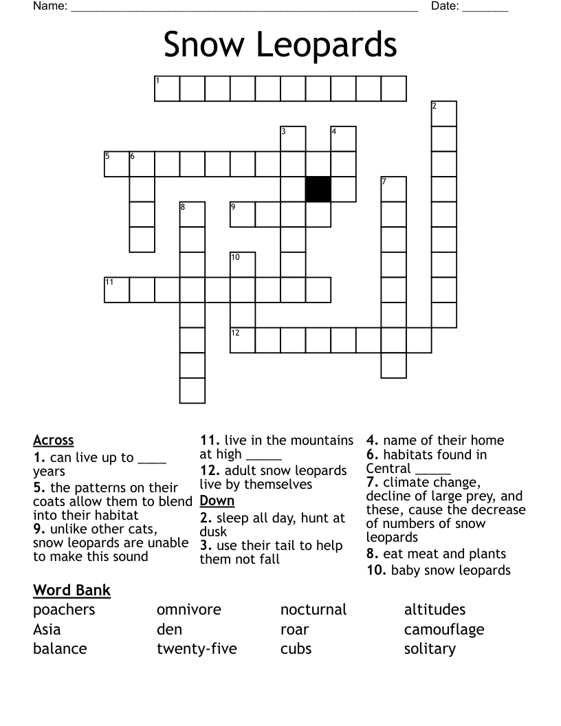 Snow Leopards Crossword WordMint