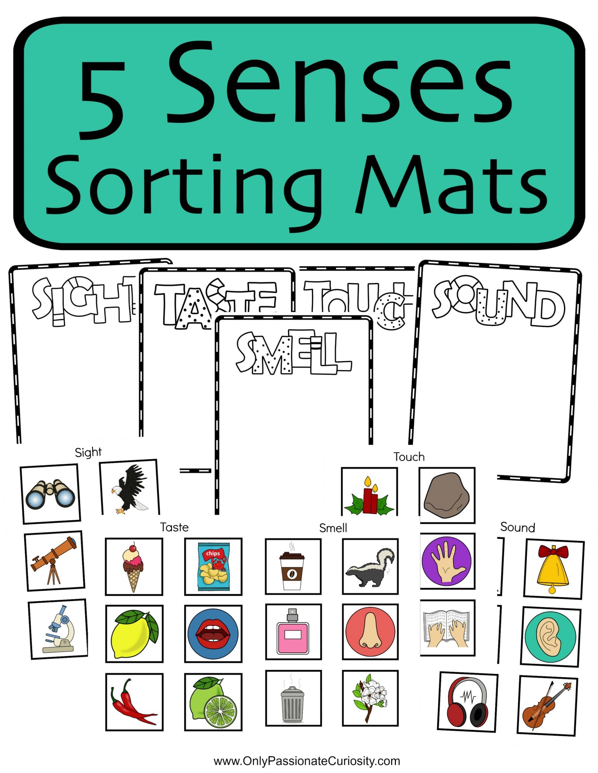 worksheets on the five senses