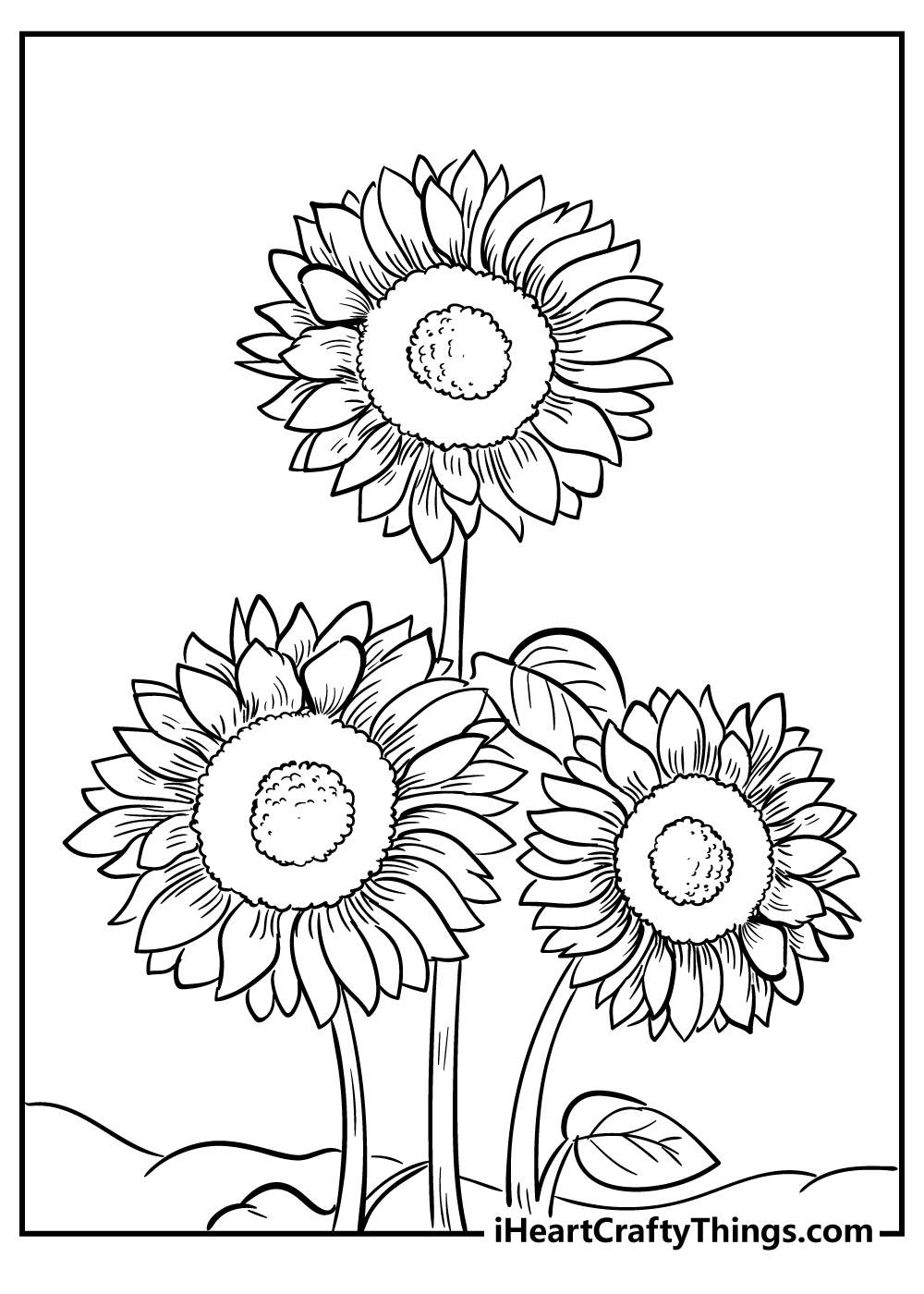 Sunflower Coloring Pages Printables PDF Sunflower Coloring Pages Printables PDF