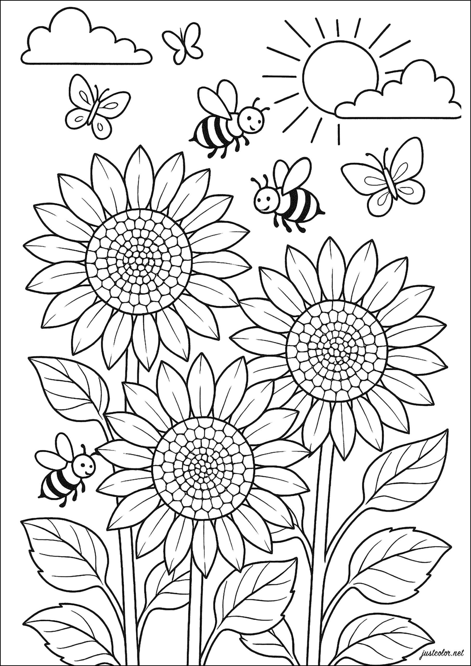 sunflowers coloring pages