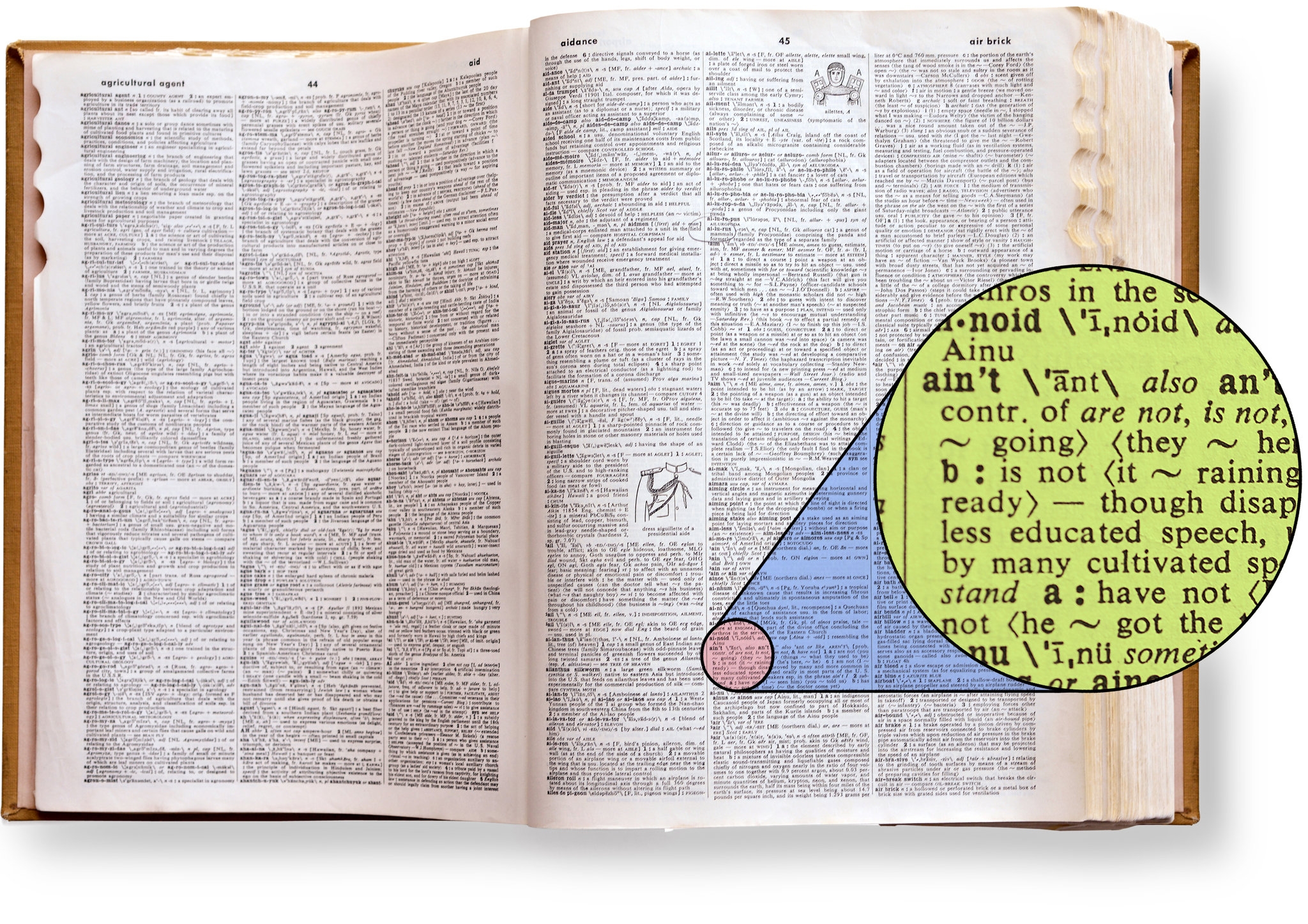 The Story Of Ain t By David Skinner The New York Times