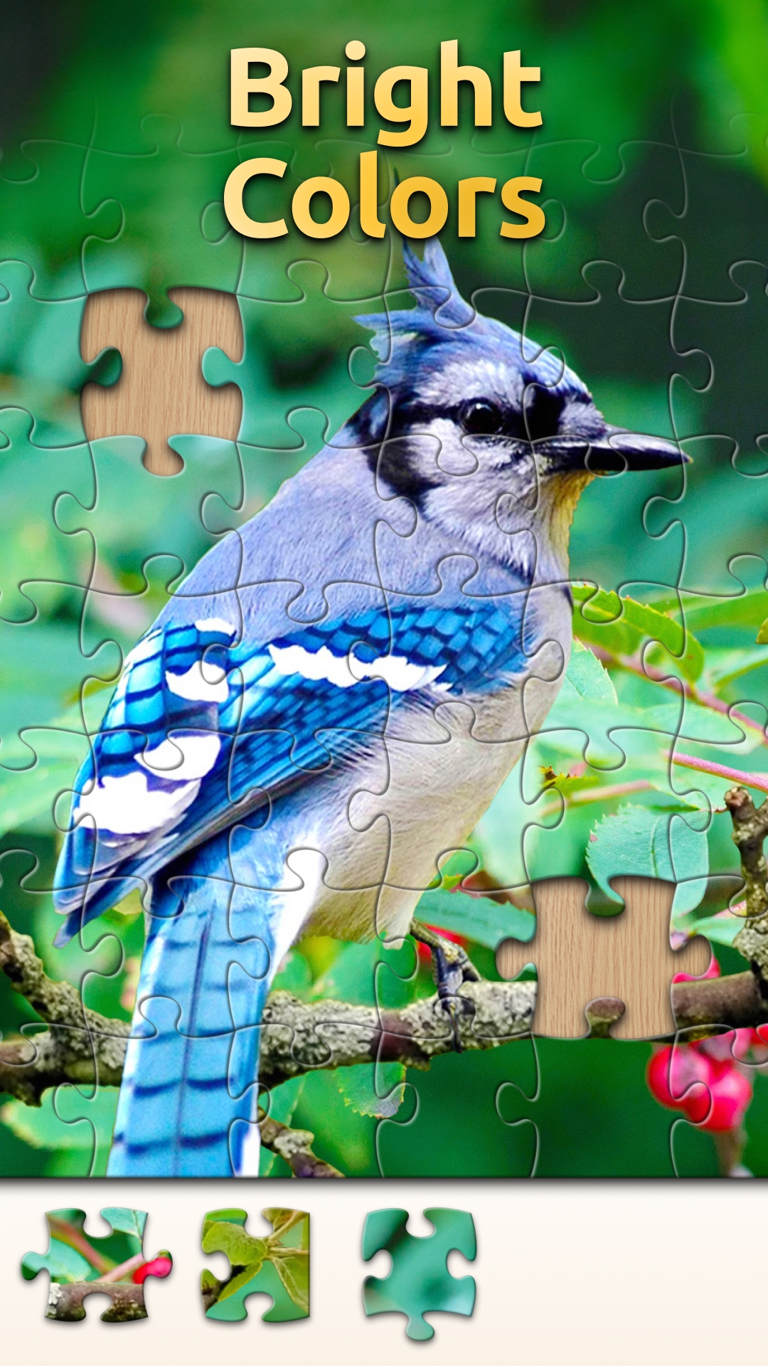 Vita Jigsaw For Seniors App On Amazon Appstore