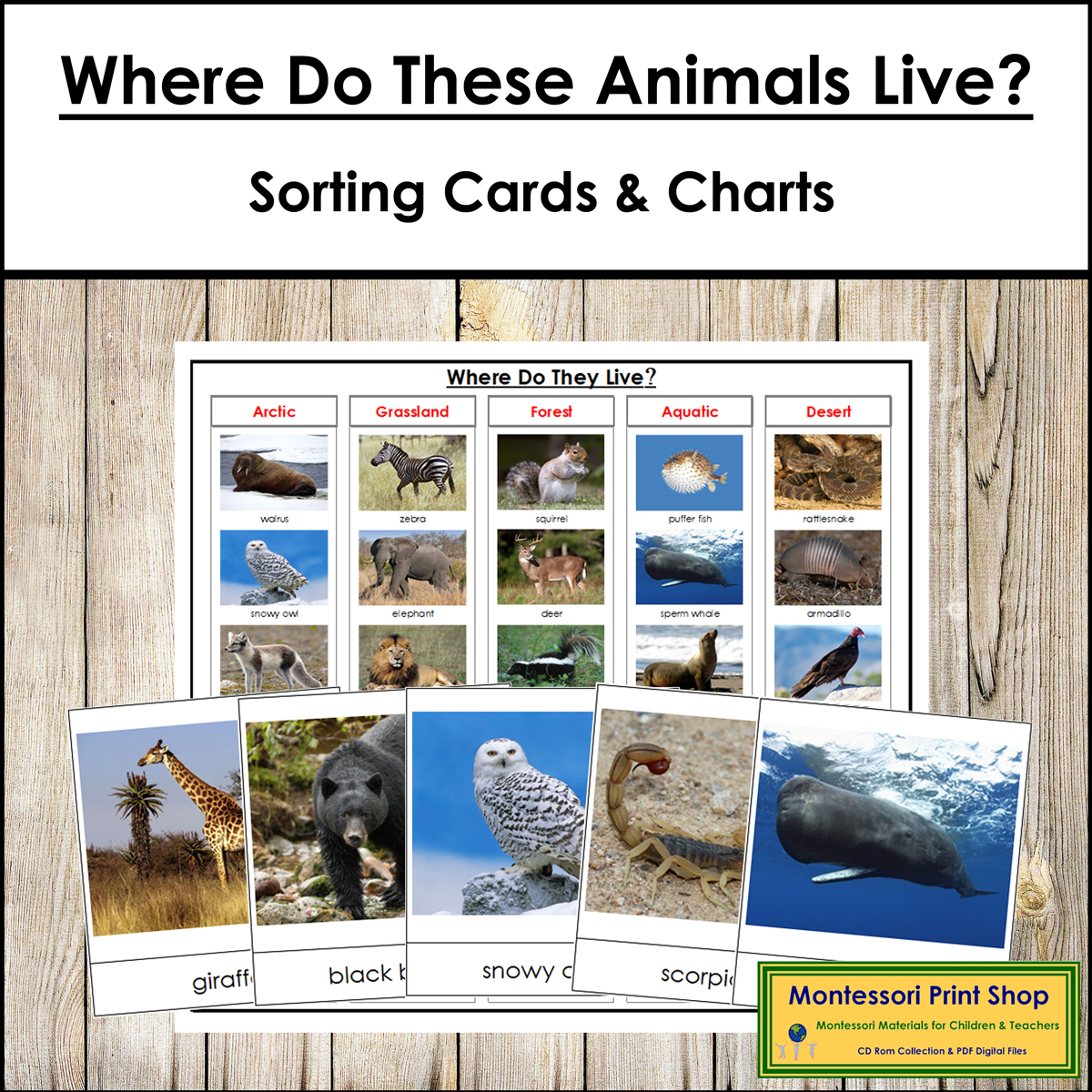 Where Do These Animals Live Sorting Cards Control Chart Made By Teachers