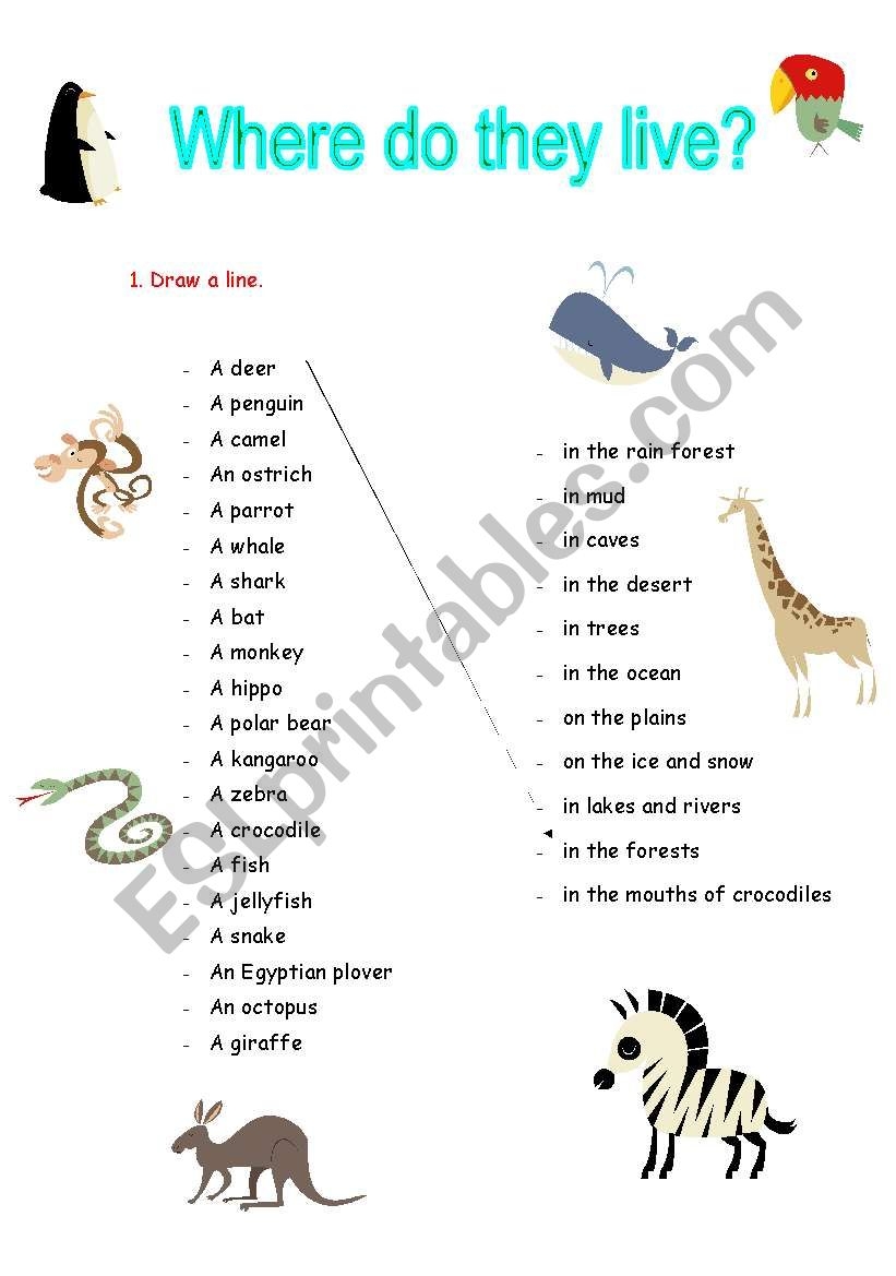 Where Do They Live ESL Worksheet By Janeco
