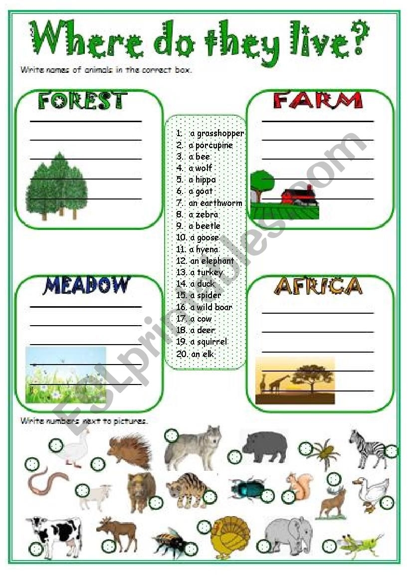 Where Do They Live ESL Worksheet By Monika 79