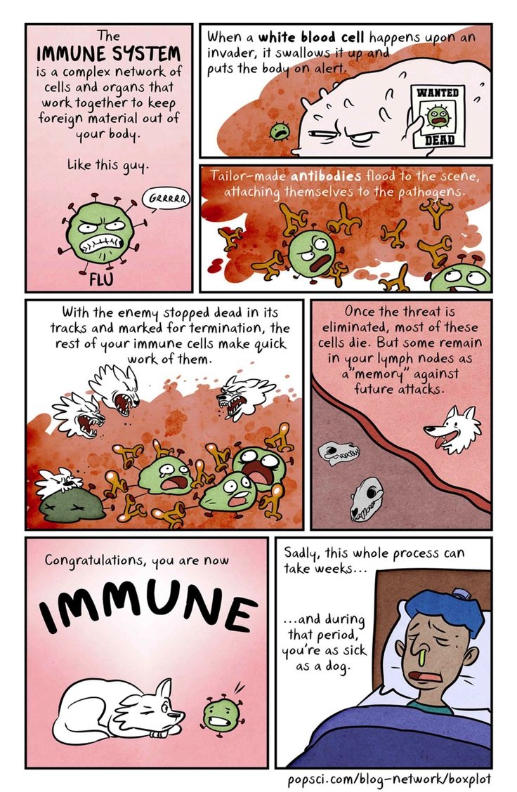 Why You Are Still Alive The Immune System Explained SaturdayMorningCartoons