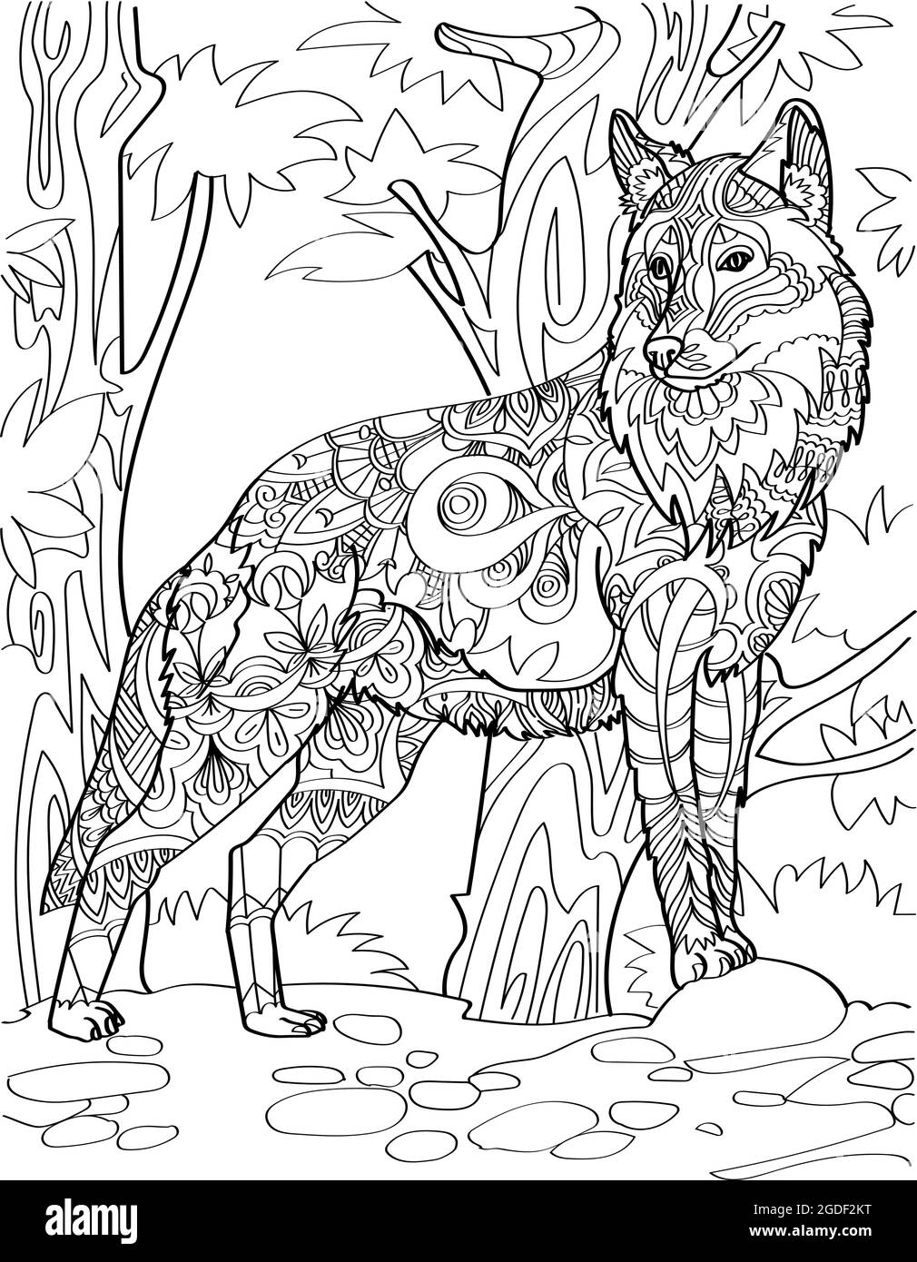 Wolf Coloring Page Black And White Stock Photos Images Alamy