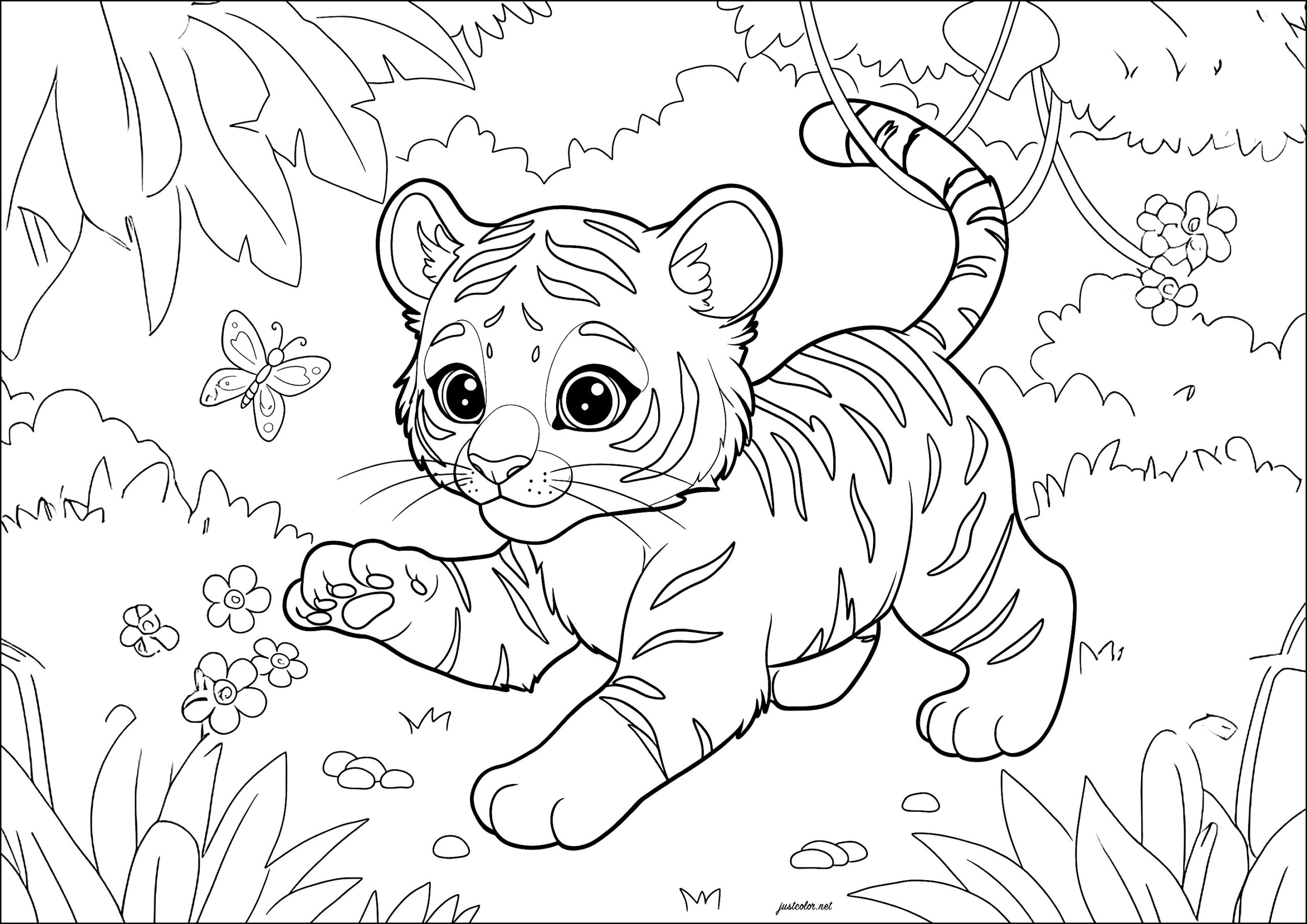Young Tiger Playing With A Butterfly Tiger Coloring Pages